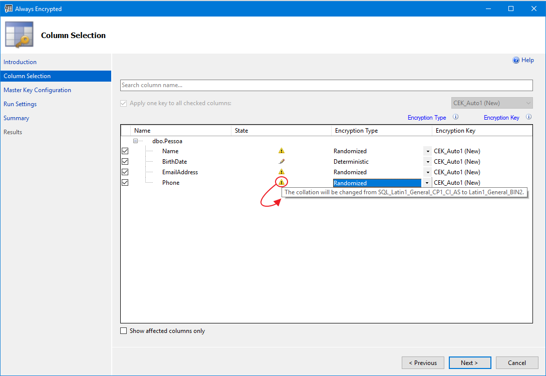 SQL Server - Como criptografar seus dados utilizando Always Encrypted ou Transparent Data Encryption (TDE) 2